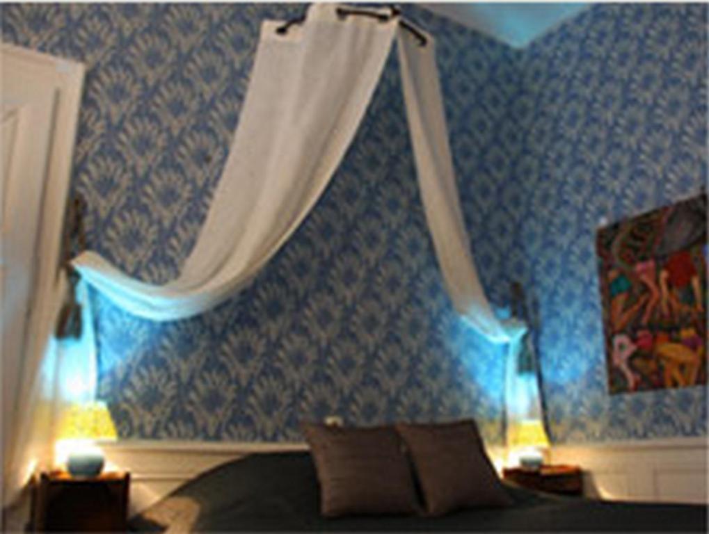 Chateau Des Reaux Chouze-sur-Loire ห้อง รูปภาพ