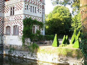 Chateau Des Reaux Chouze-sur-Loire ภายนอก รูปภาพ