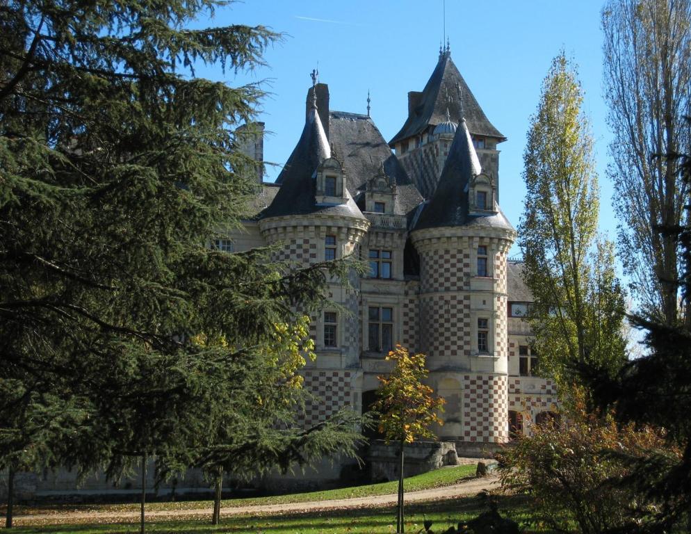 Chateau Des Reaux Chouze-sur-Loire ภายนอก รูปภาพ