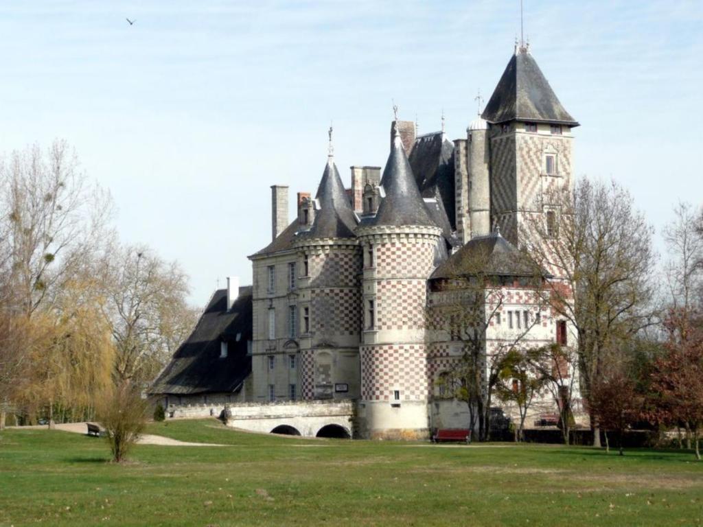 Chateau Des Reaux Chouze-sur-Loire ภายนอก รูปภาพ