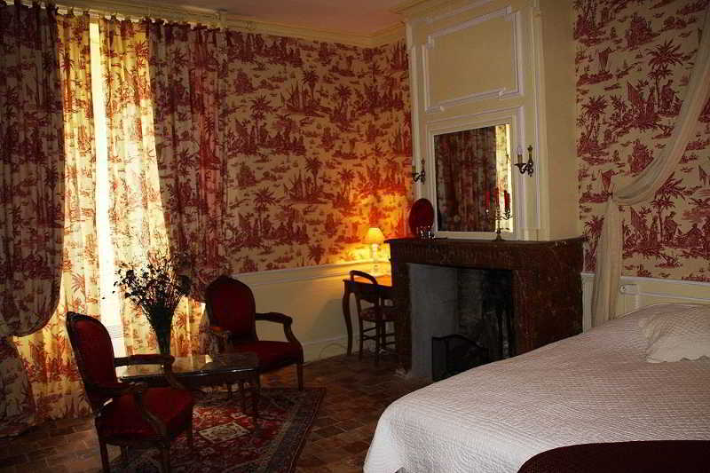 Chateau Des Reaux Chouze-sur-Loire ภายนอก รูปภาพ